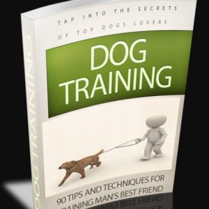 90 Dog Training Tips