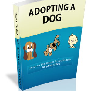 tips adopting a dog