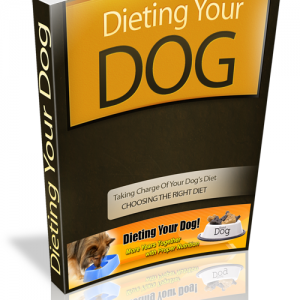 dieting your dog