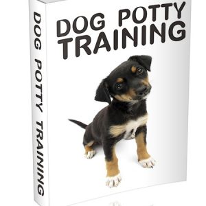 dog potty training
